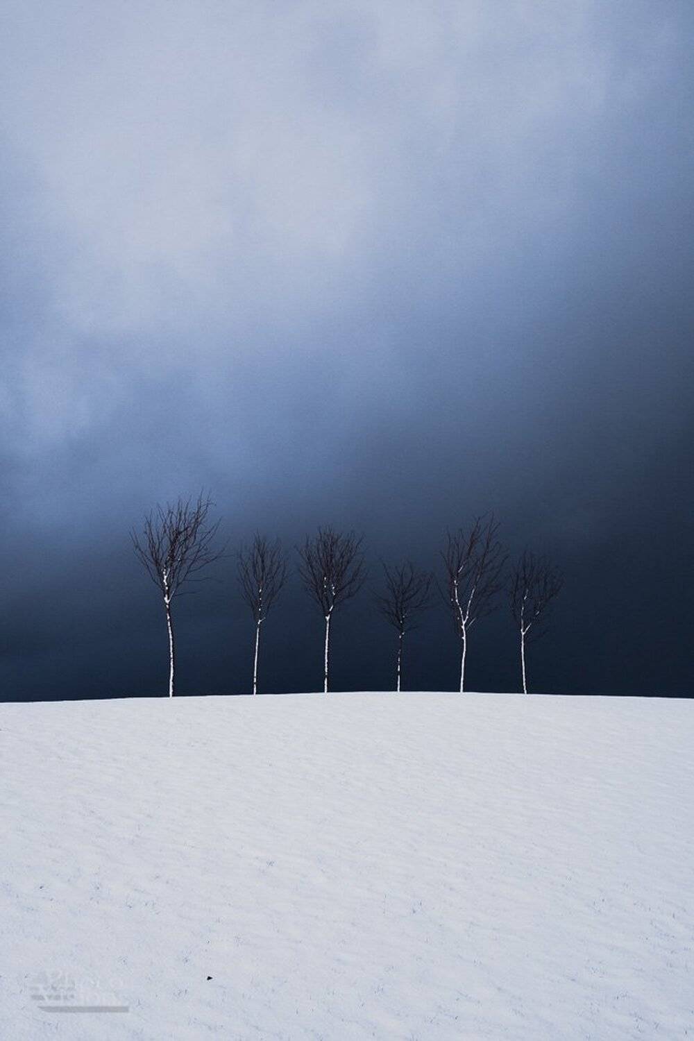minimal,minimalism,tree,trees,winter,clouds,storm,snow,, Adrian Szatewicz