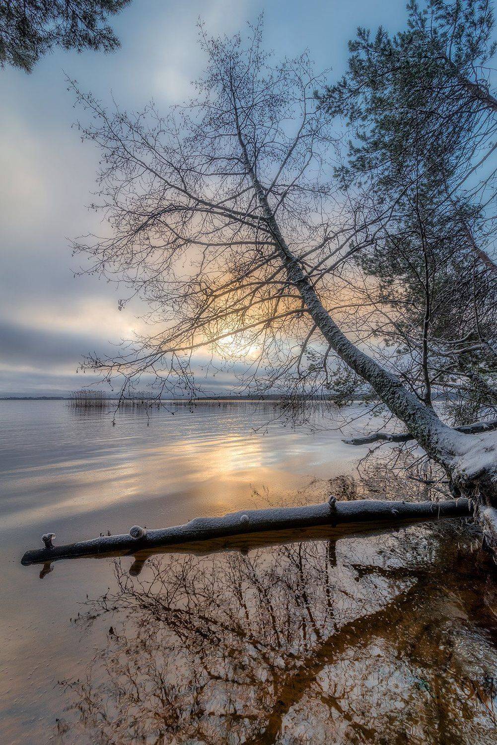 , Федотов Антон