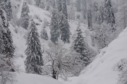 в горах Заилийских