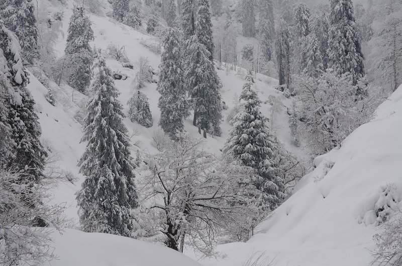 зима, горы, , туман в горах Заилийских фото превью
