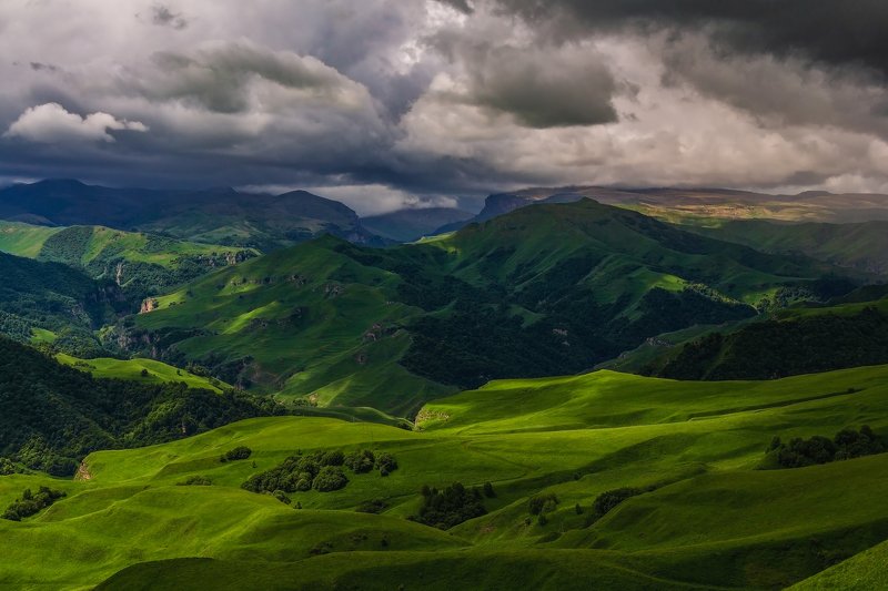 in the green dunes... фото превью