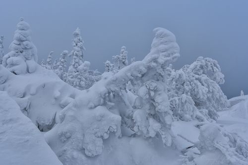 Горный страж