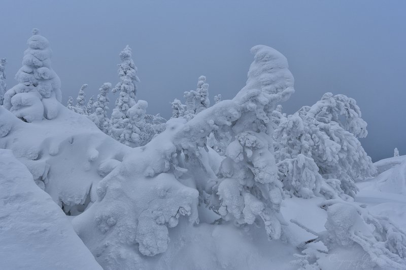 Горный страж фото превью