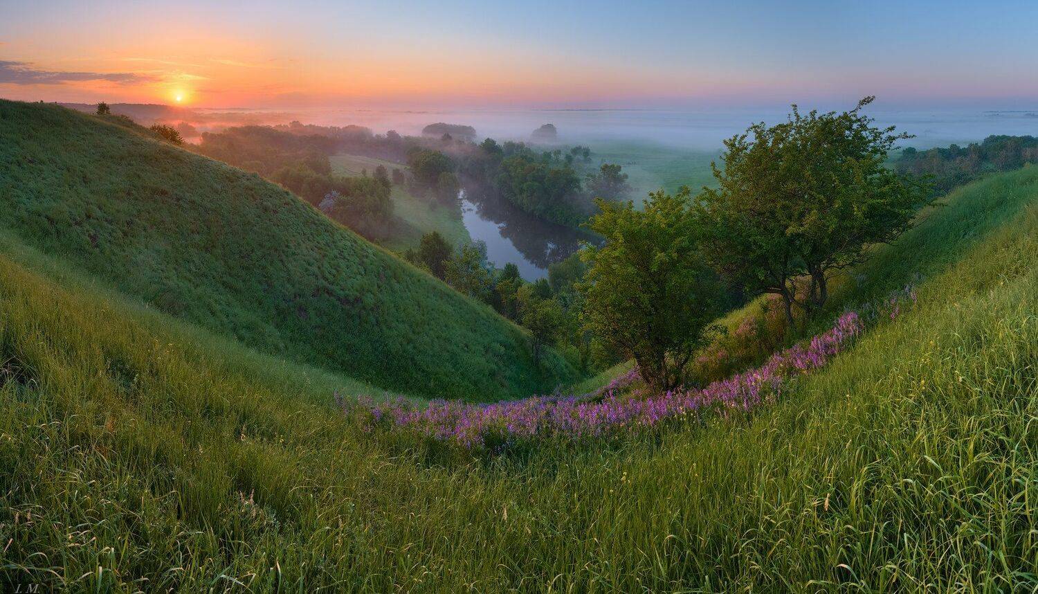 весна, май, пейзаж, утро, рассвет, холмы, река, Псел, солнце, свет, травы, луг, цветы, туман, spring, morning, sunrise, light, sun, flowers, meadows, hills, river, Psel, panorama, view from above, fog, misty, May, springtime, landscape, Ivan Maljarenko 