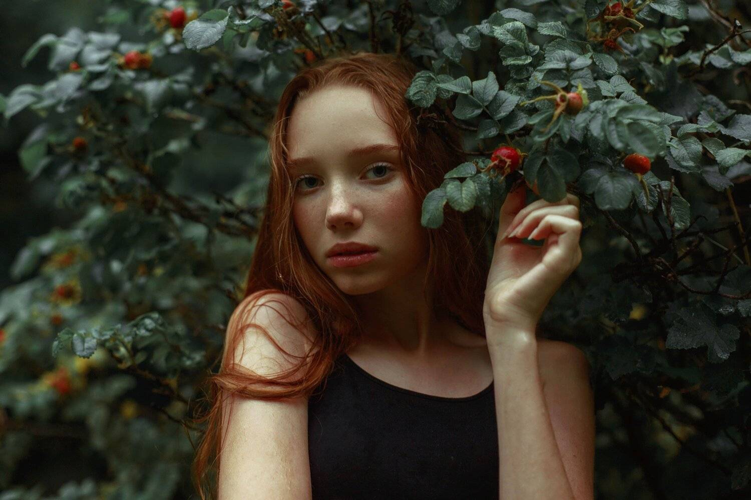 портрет, Marie Dashkova