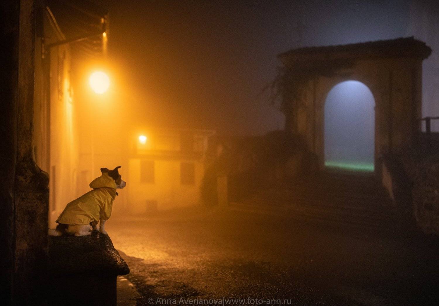 , Анна Аверьянова