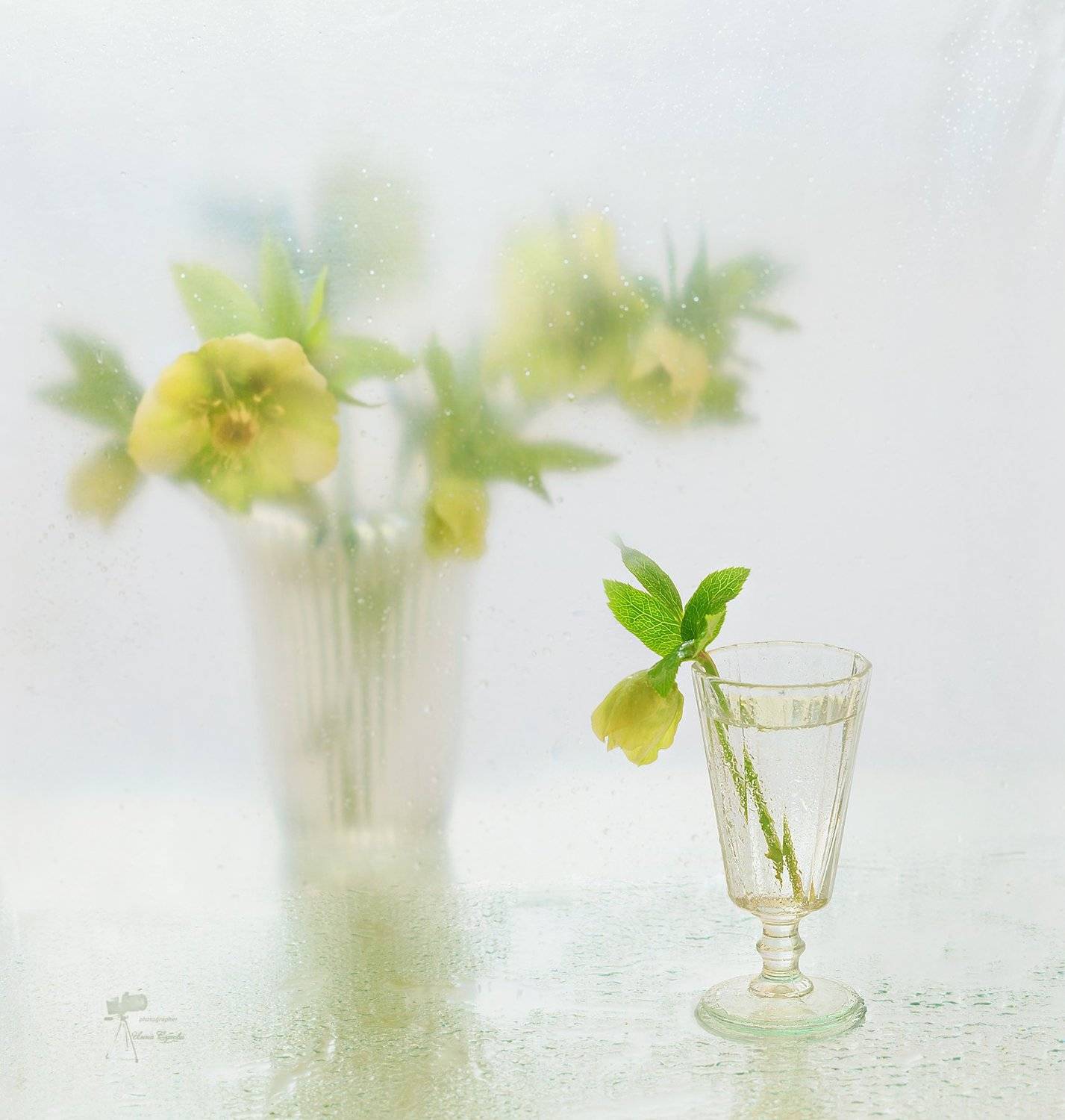 , Инна Сухова