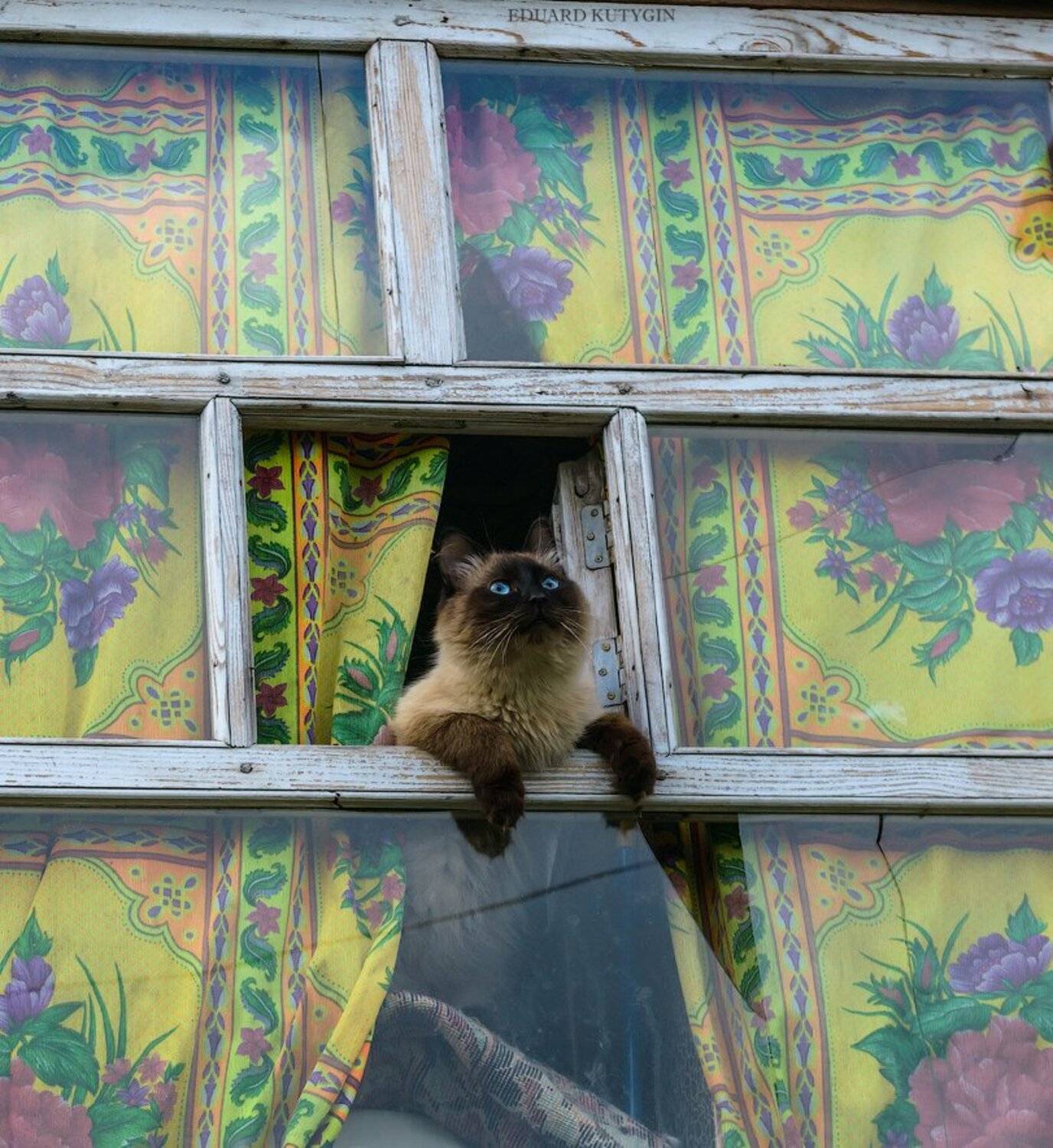 , Кутыгин Эдуард