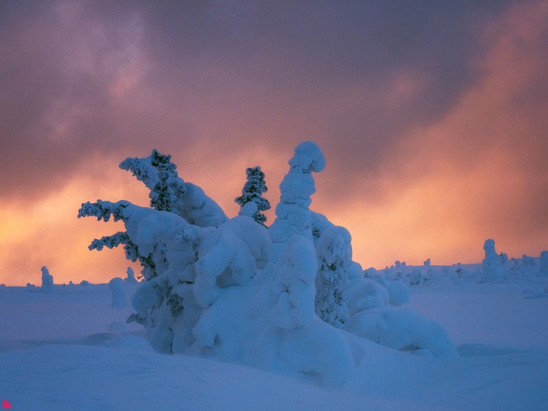 Вечер фото превью