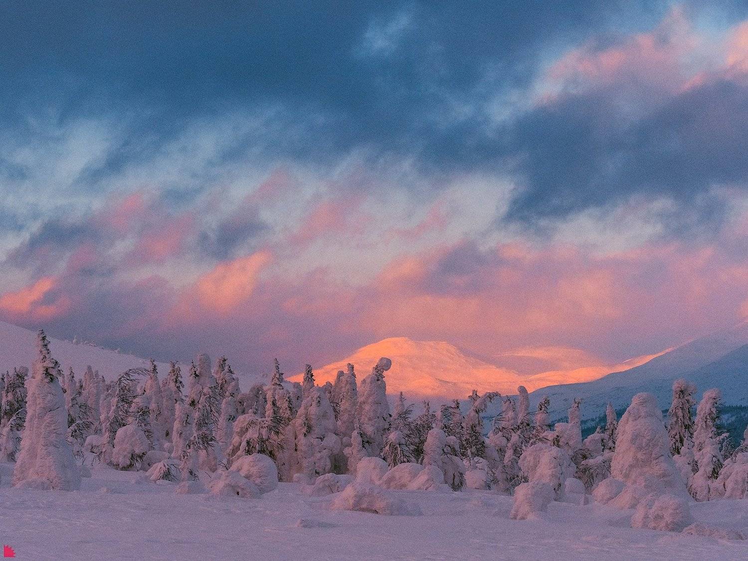 , Осипов Ёжъ Александр