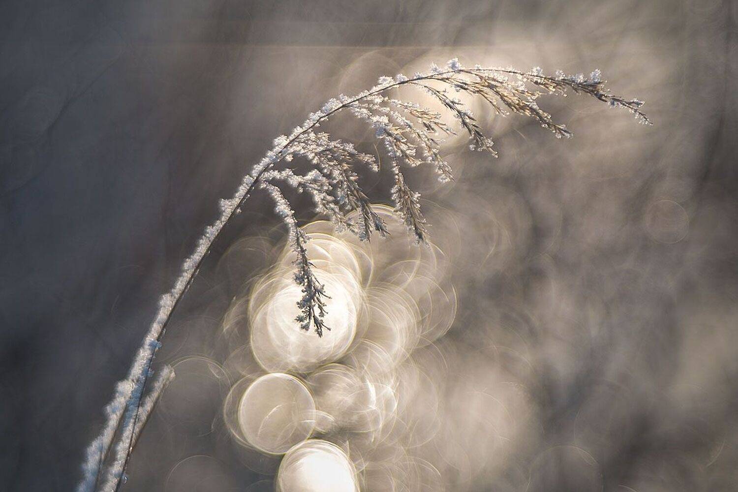 , Сергей Брагин