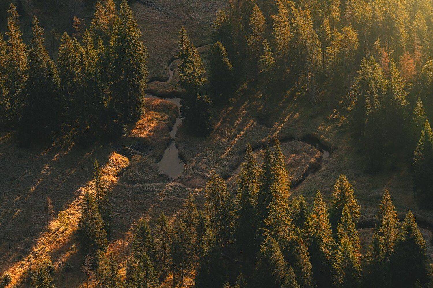 autumn,mountains,canon,sunrise, Iza i Darek Mitręga