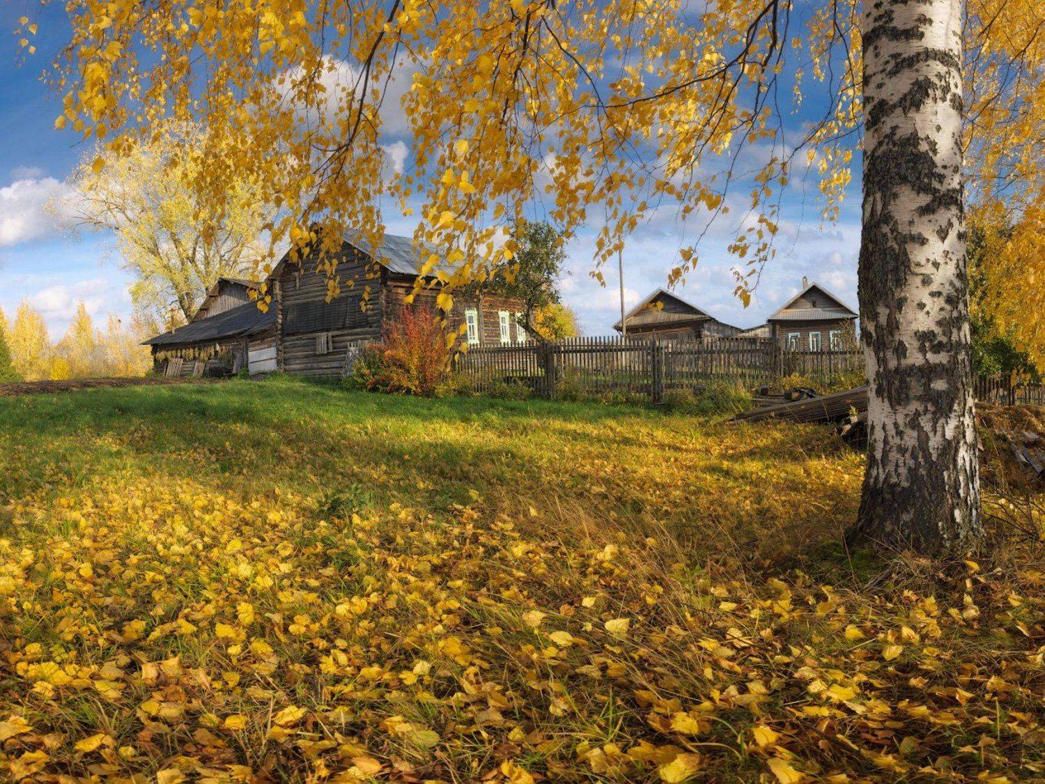 , Дмитрий Медянцев