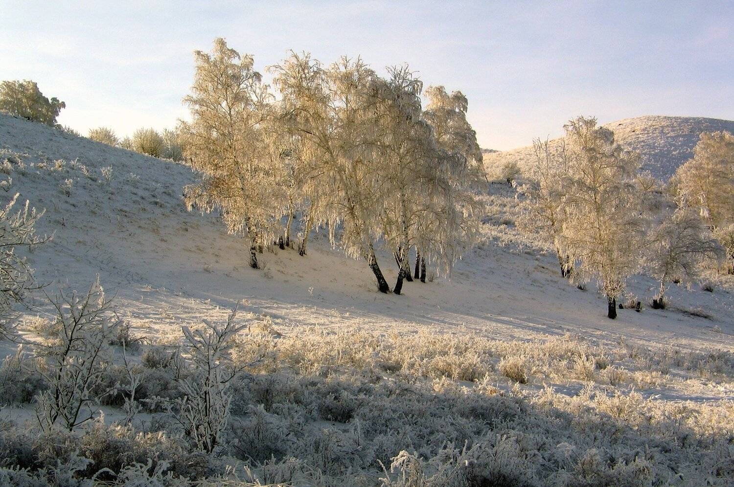 За Утесом., петр чиков