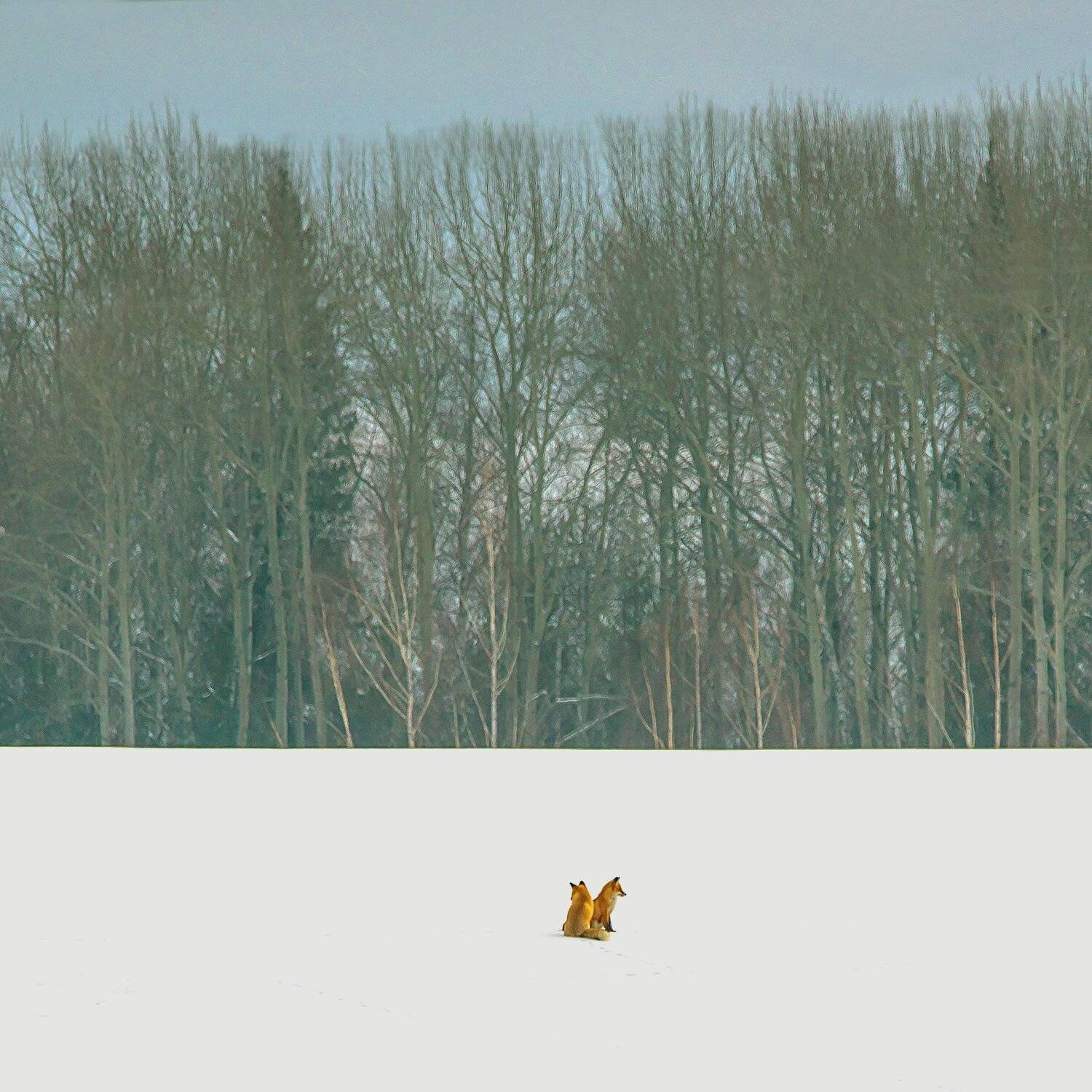 , Михаил Белоусов