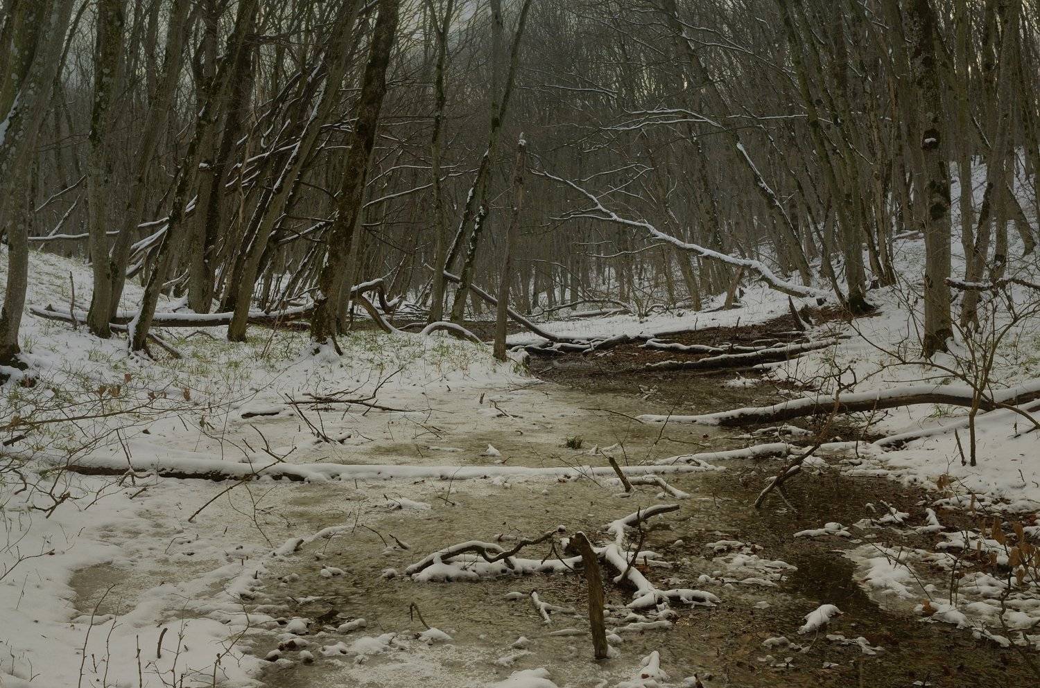 зима утро лес ручей, Александр Жарников