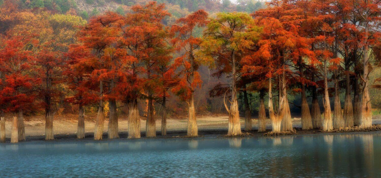 , Alexander Plekhanov