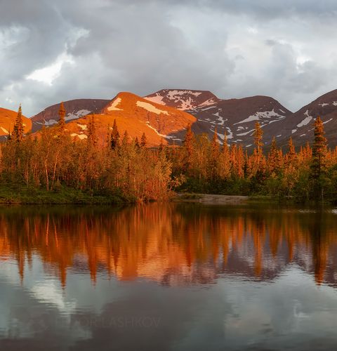 Медовые горы Хибин
