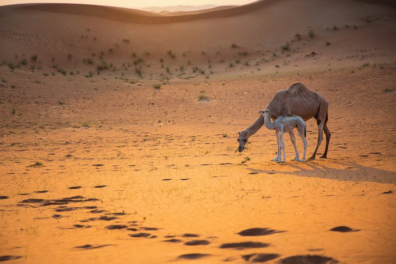 360° of me фото превью