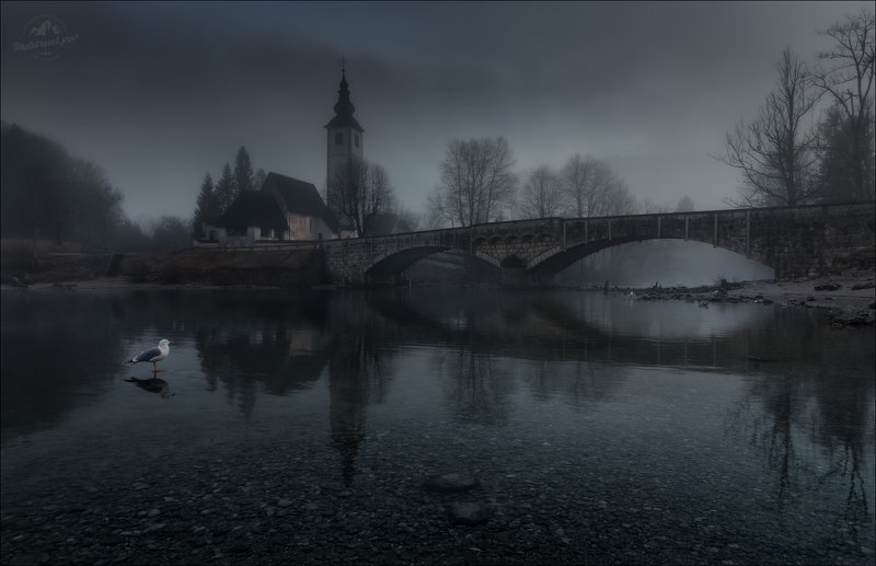 словения, бохинь, бохиньское озеро, slovenia, bohinj, Пейзаж с чайкой фото превью