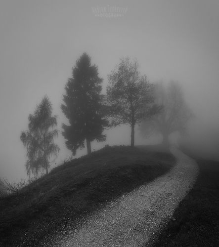 Path to the mist