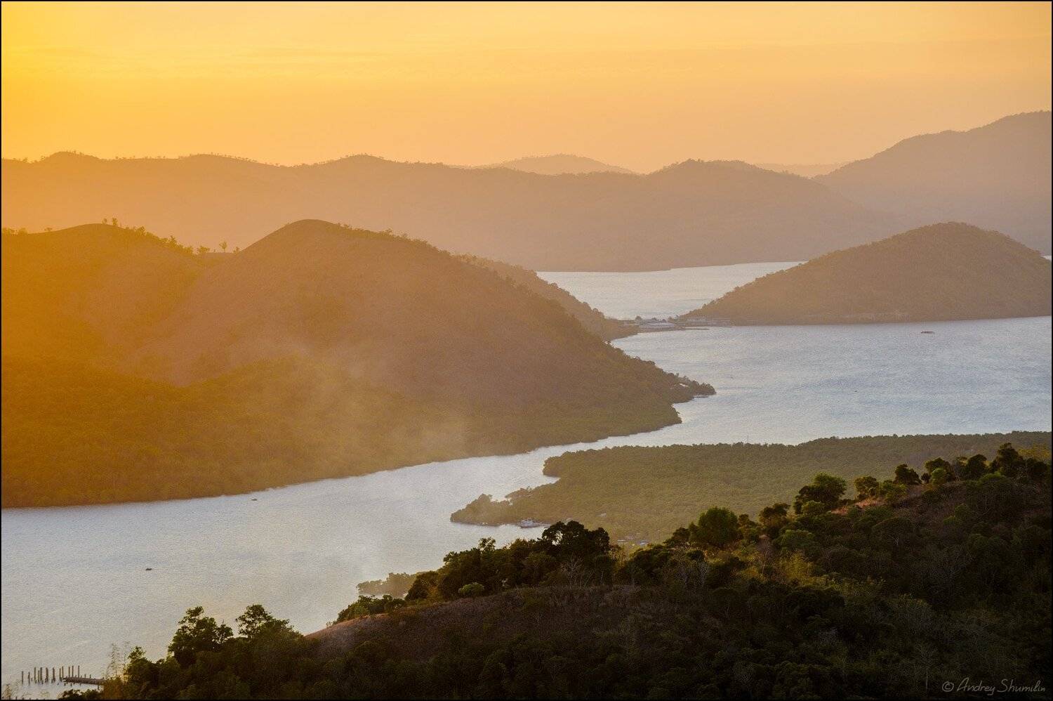 , Андрей Шумилин