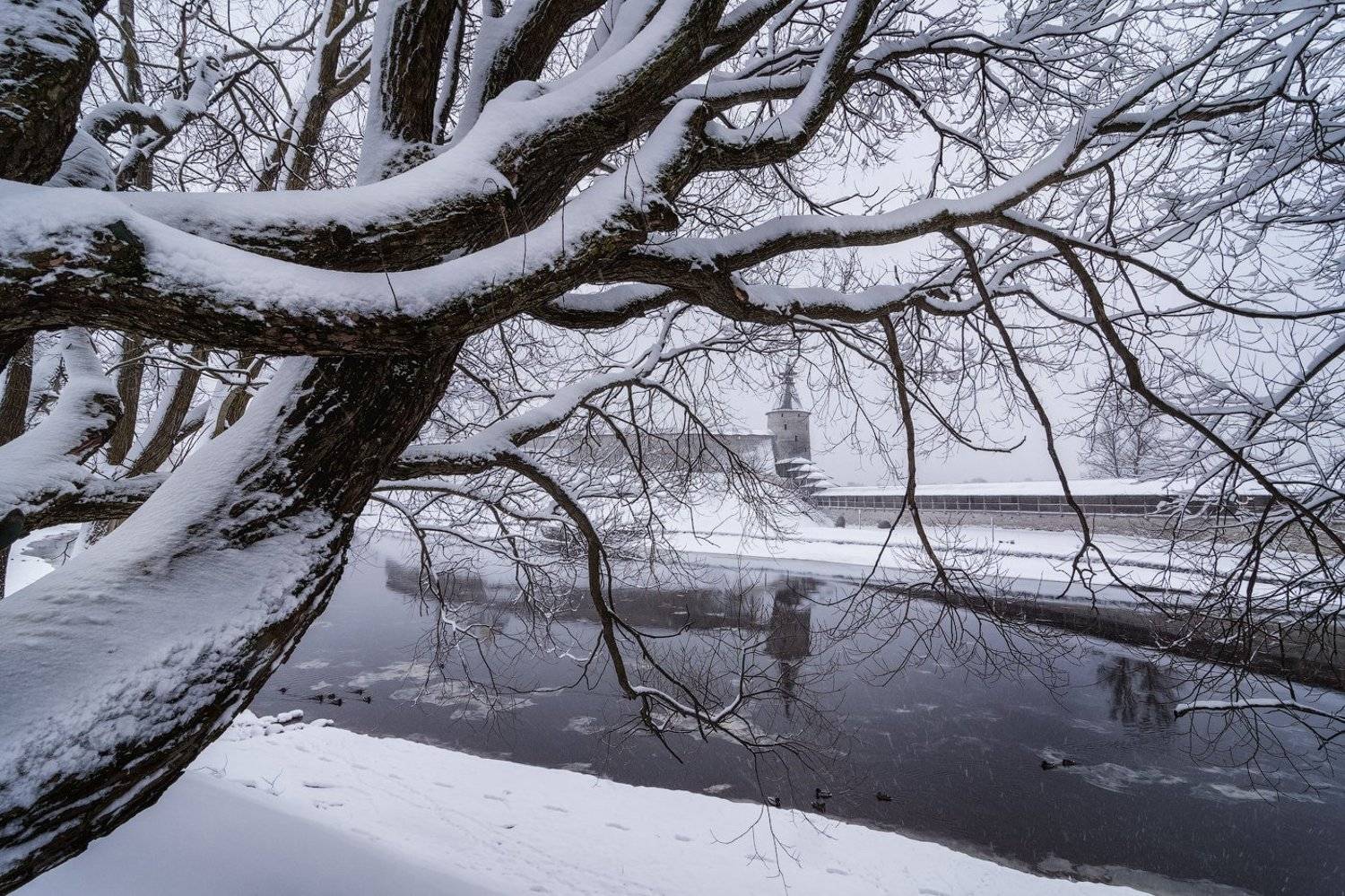 псков, россия, зима, река, Майя Афзаал