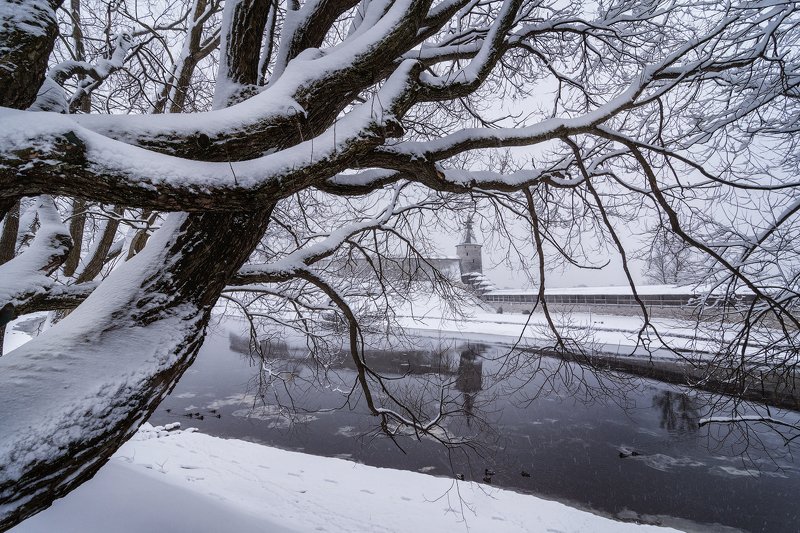 псков, россия, зима, река Зима фото превью