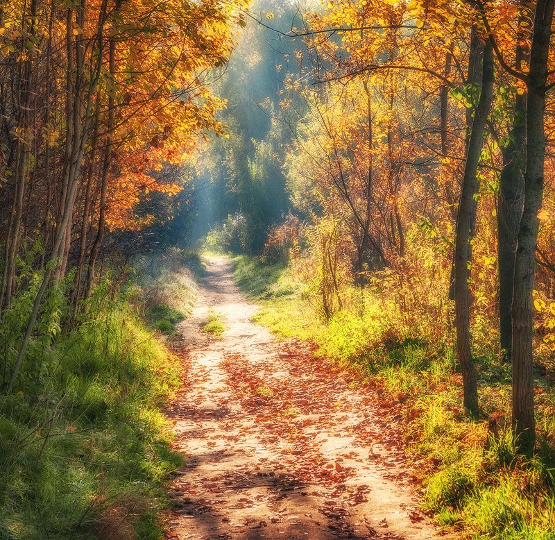 ... фото превью