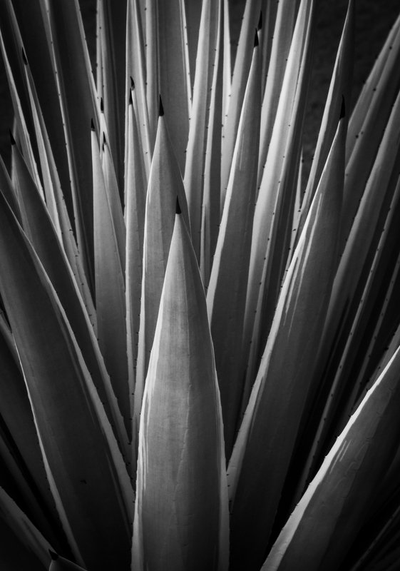 Lines фото превью