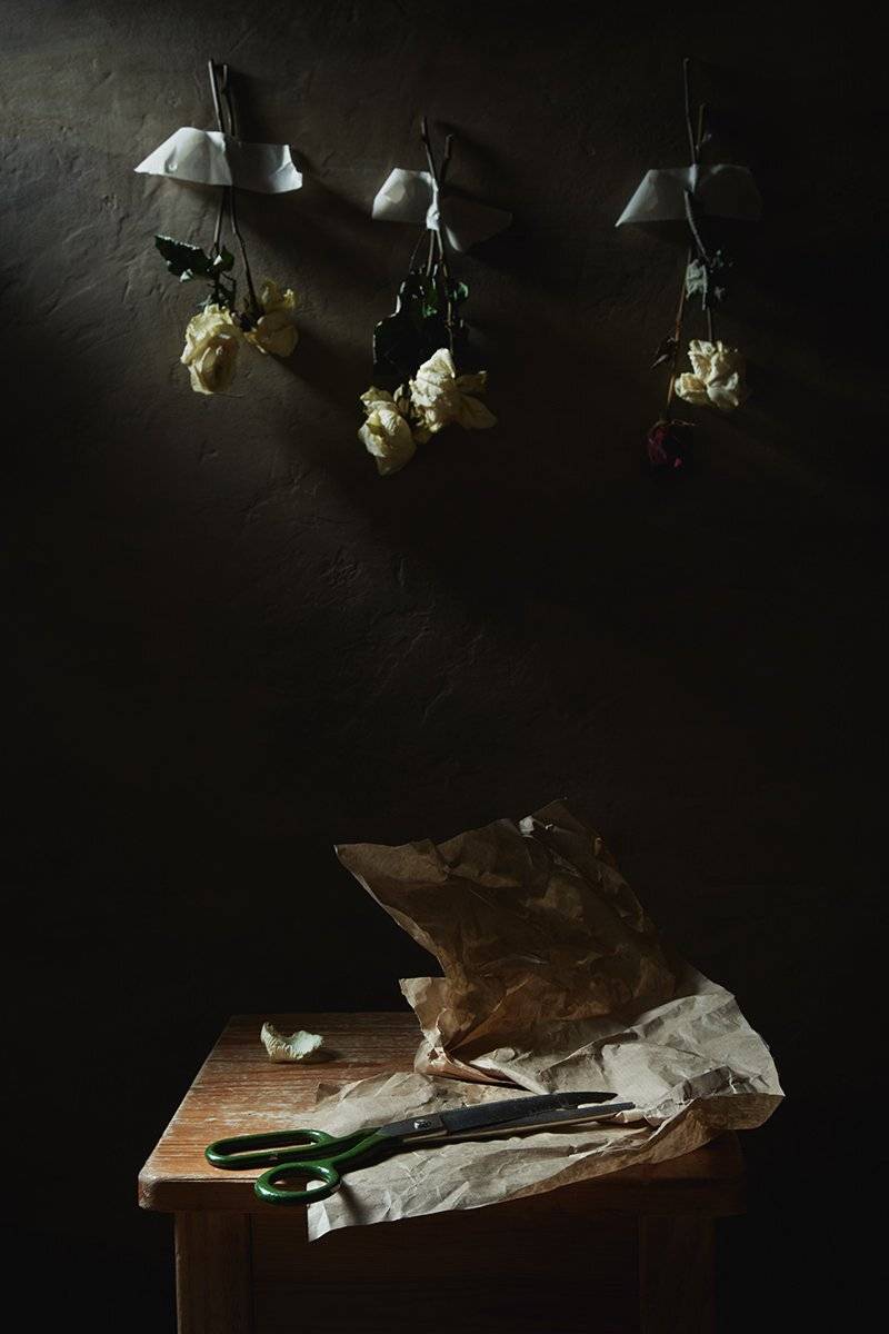 , Алексей Дивнич