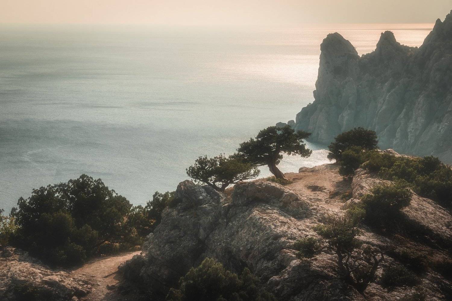 пейзаж, крым, лето, скалы, дерево, закат, природа, море, горы, Даниил Силантьев