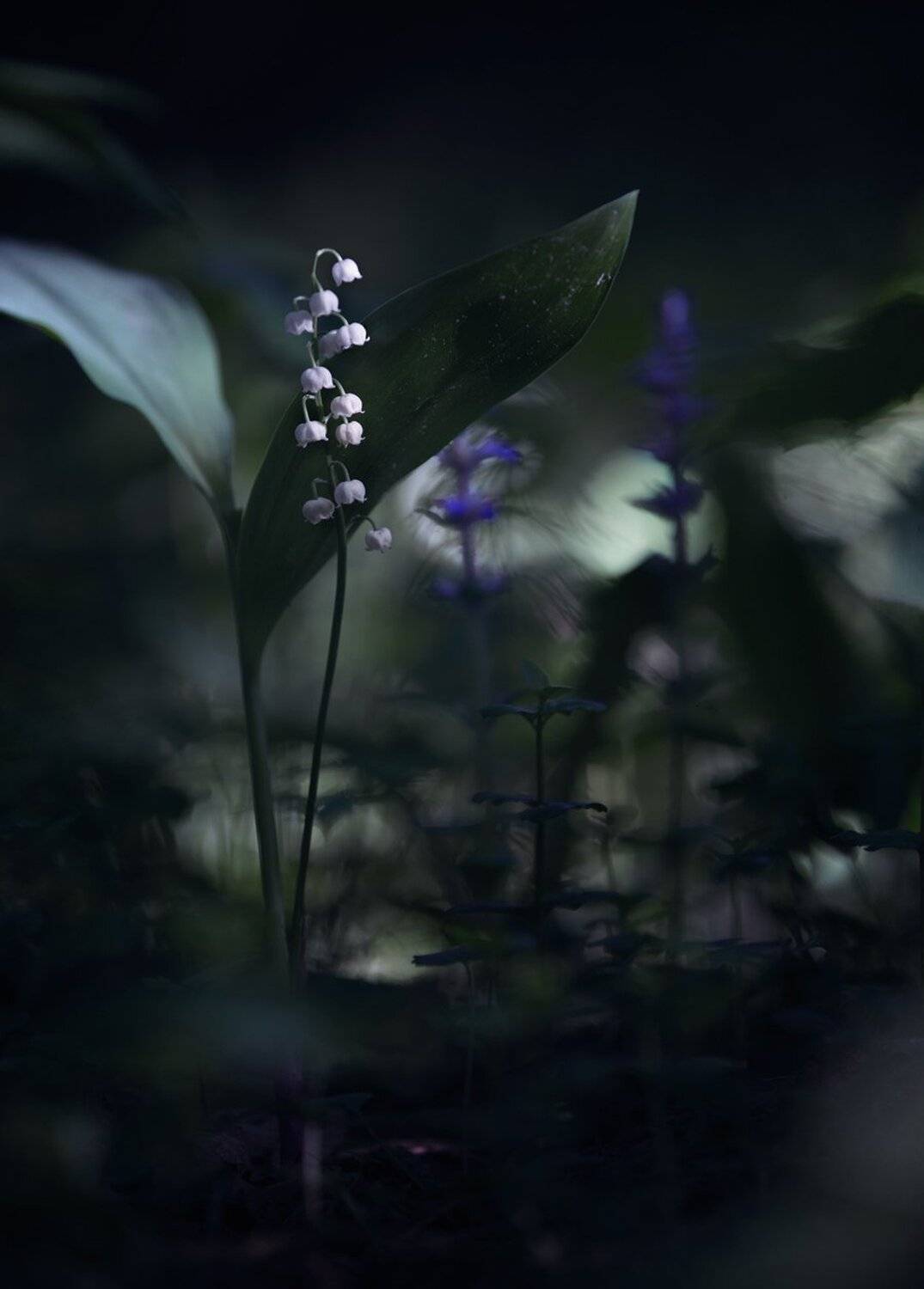 , Баранов Олег