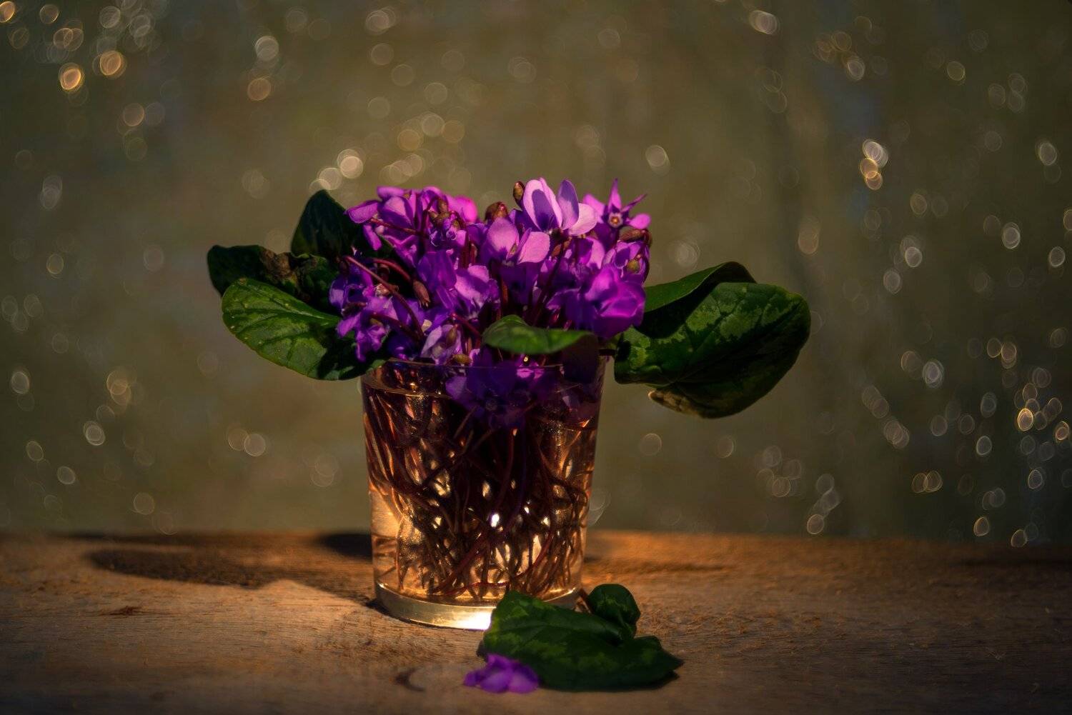 цветы,гелиос,натюрморт, Елена Брежицкая