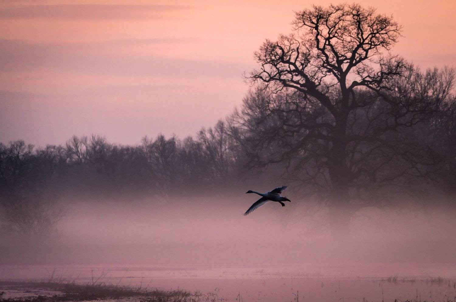, Maciej Werbliński