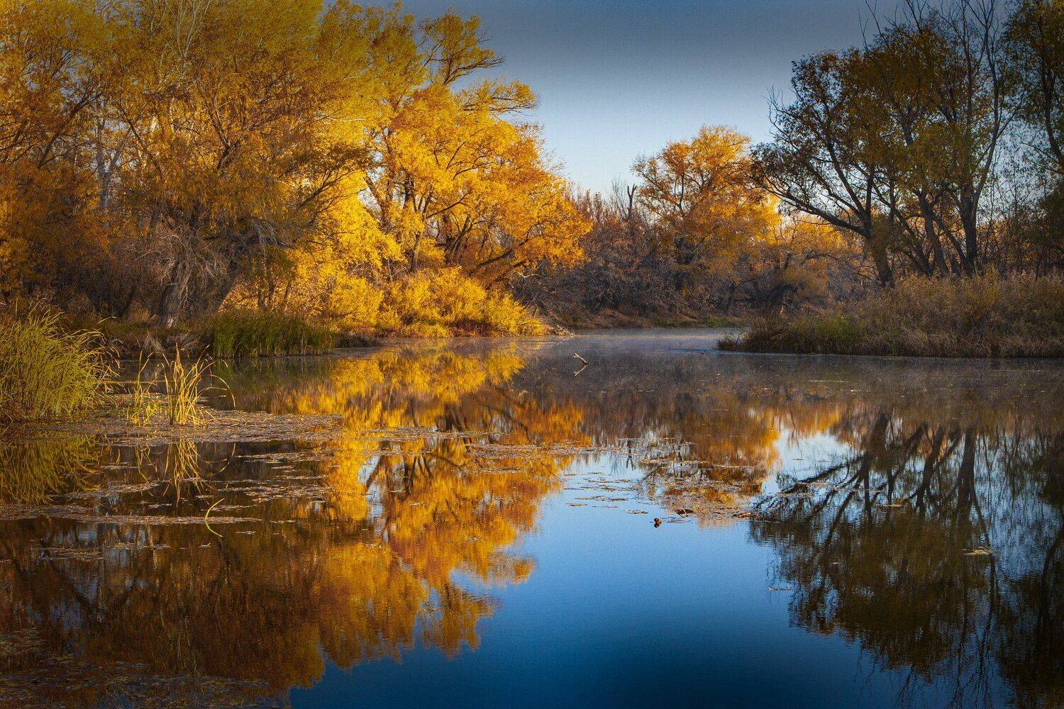 Карагай, петр чиков