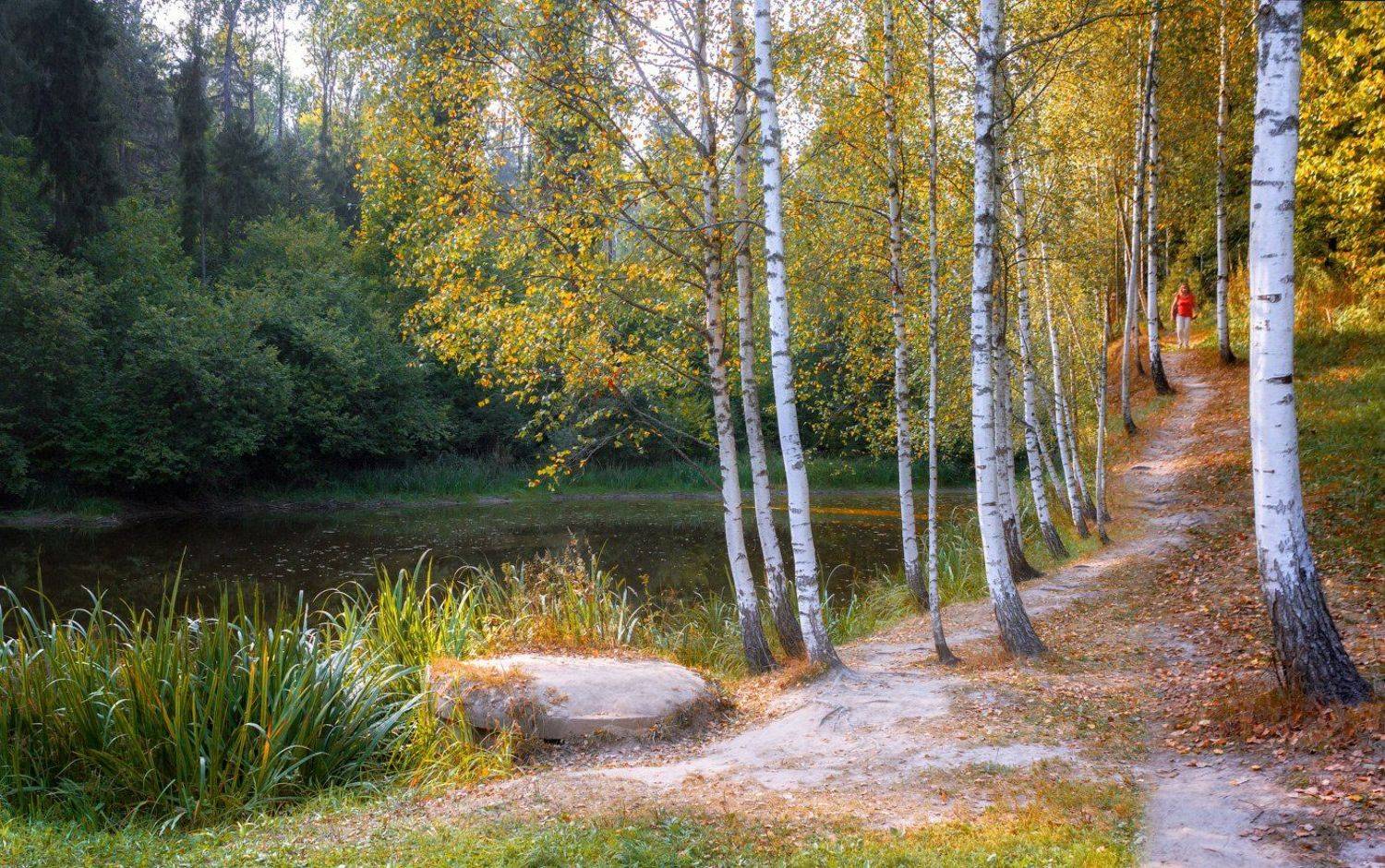 пруд, осень, лес, тропа, девушка, Виктор Климкин