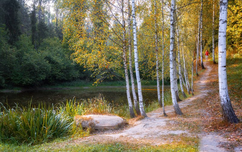 пруд, осень, лес, тропа, девушка По осенней тропинке фото превью