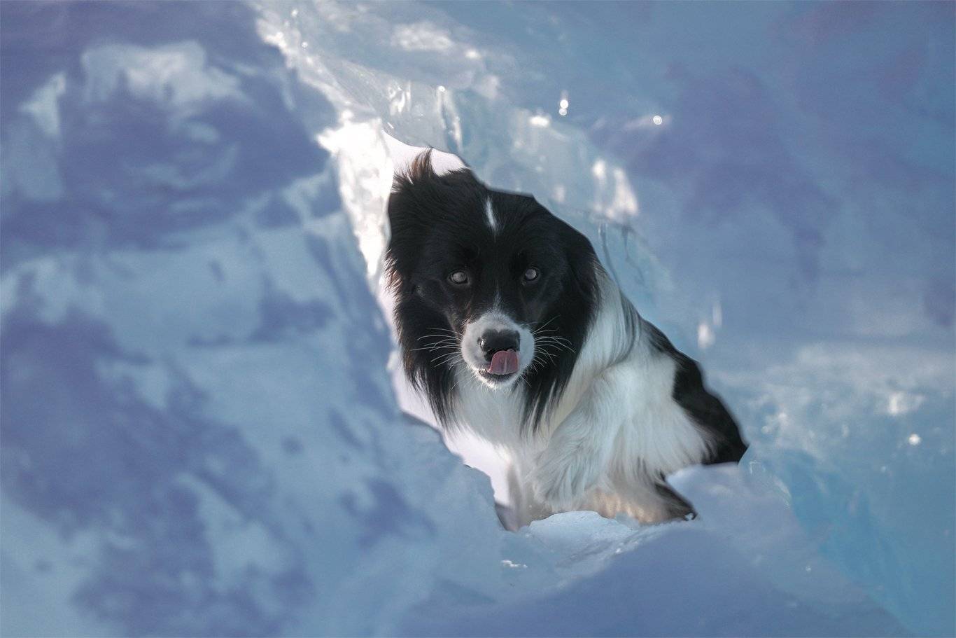 , Андрей Ершов