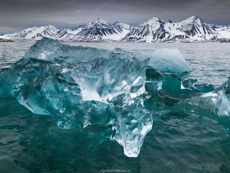 шпицберген, свальбард, арктика, arctic, svalbard, ice, iceberg Ледяная рапсодия фото превью