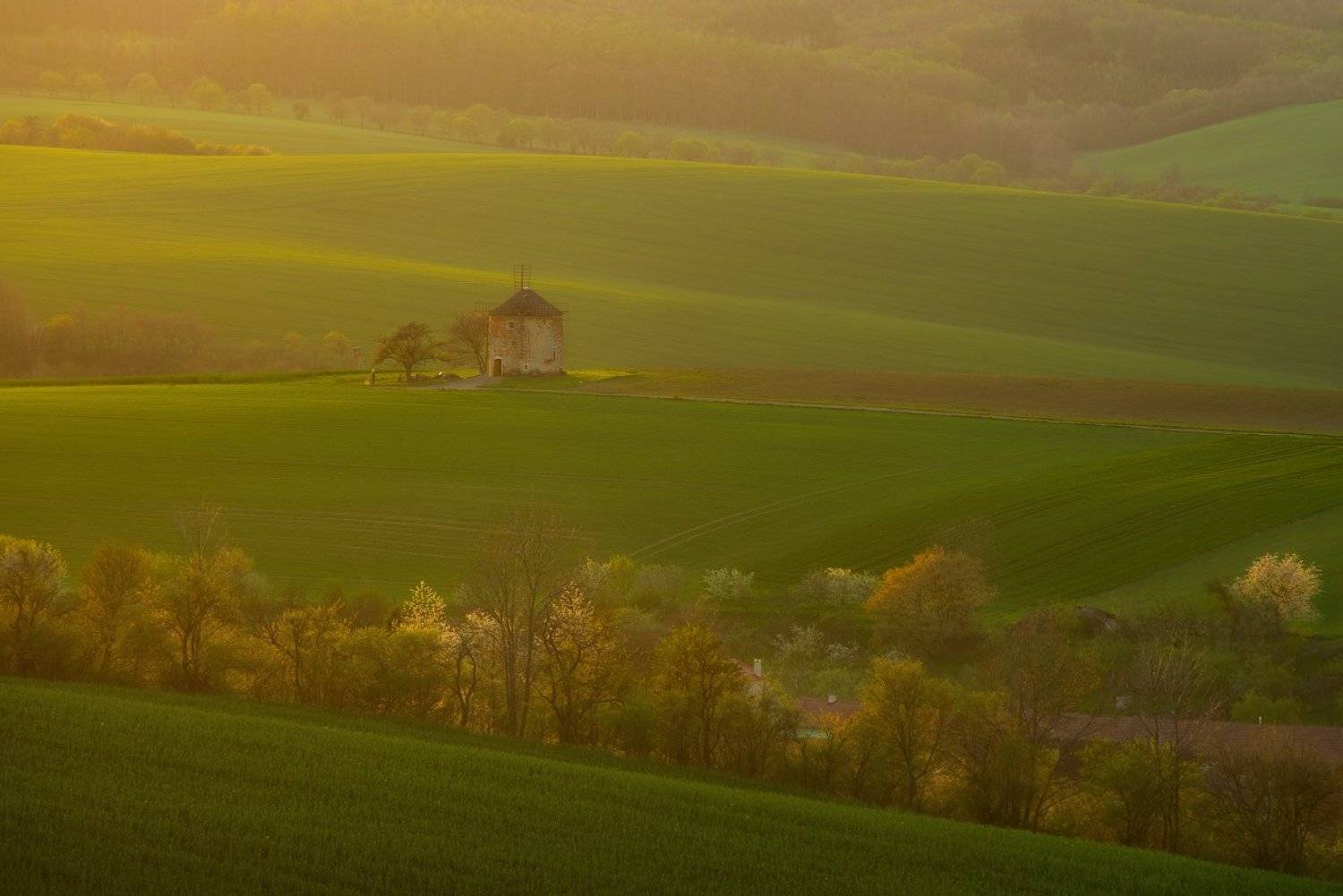 , Романский Владимир (NikonZoom)