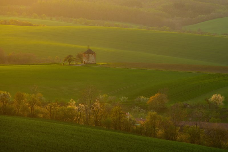 The Gold Of Spring. фото превью