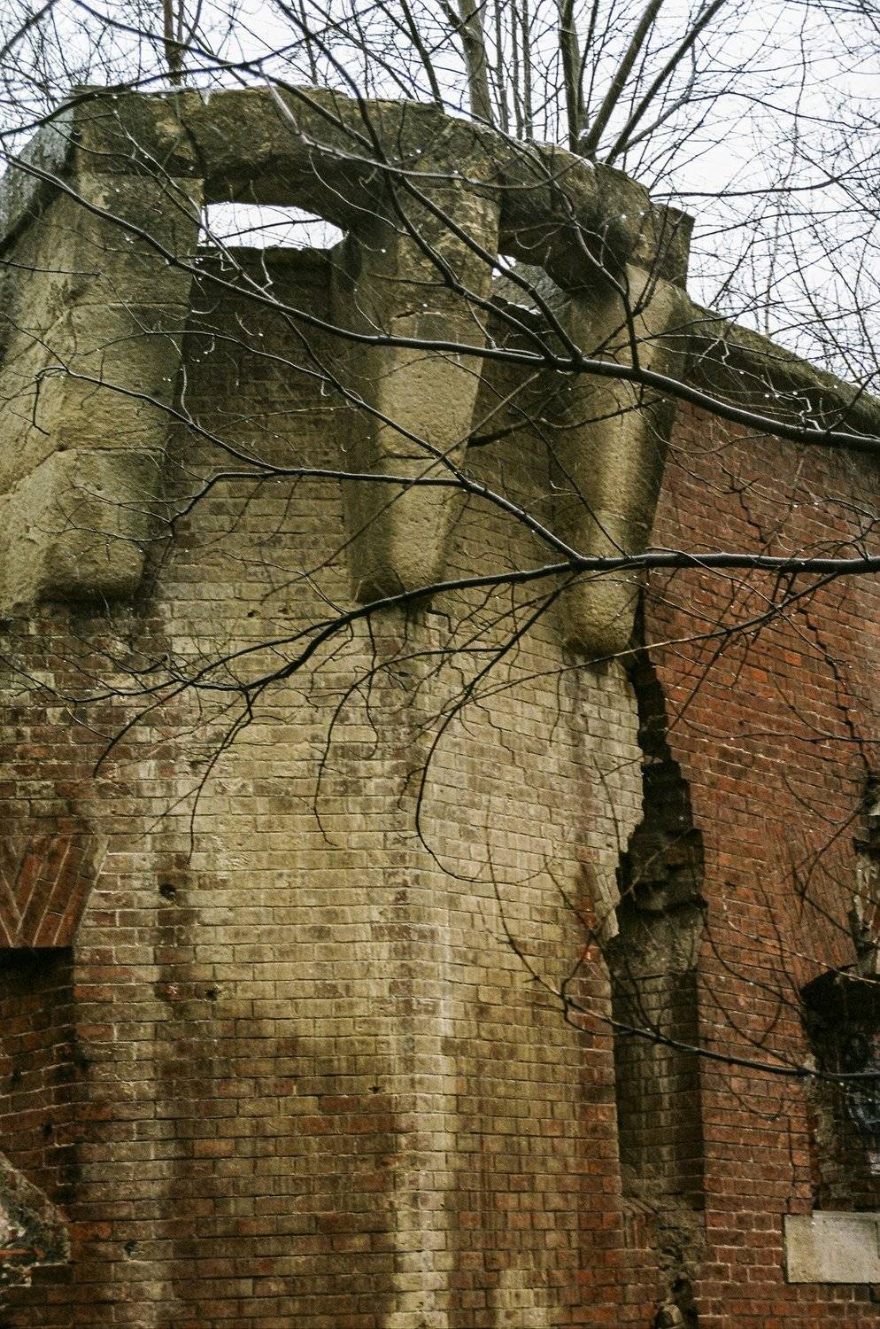 kodak ektar 100, Alexander Zvir