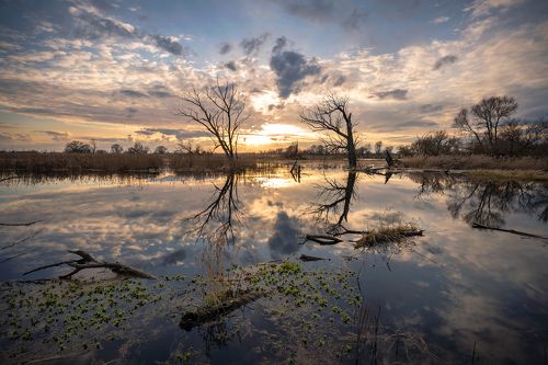 Nationalpark Unteres Odertal