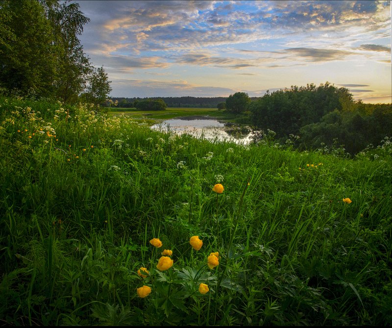 фото превью