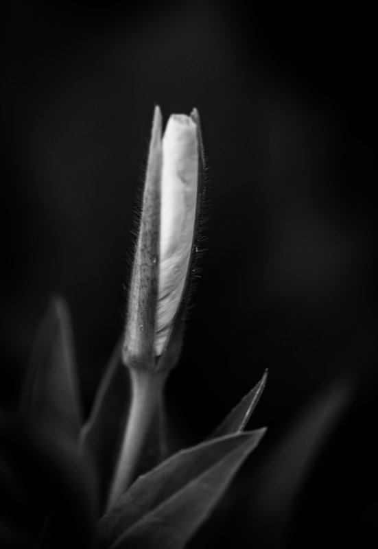 Towards the top фото превью