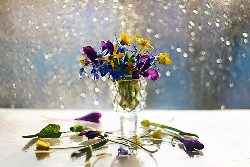 Весенний привет... фото превью