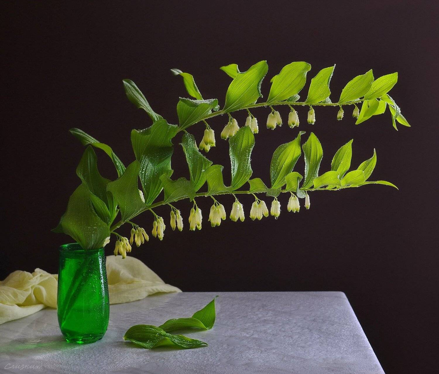 натюрморт,композиция,свет,лето,букет,купена, Инаида