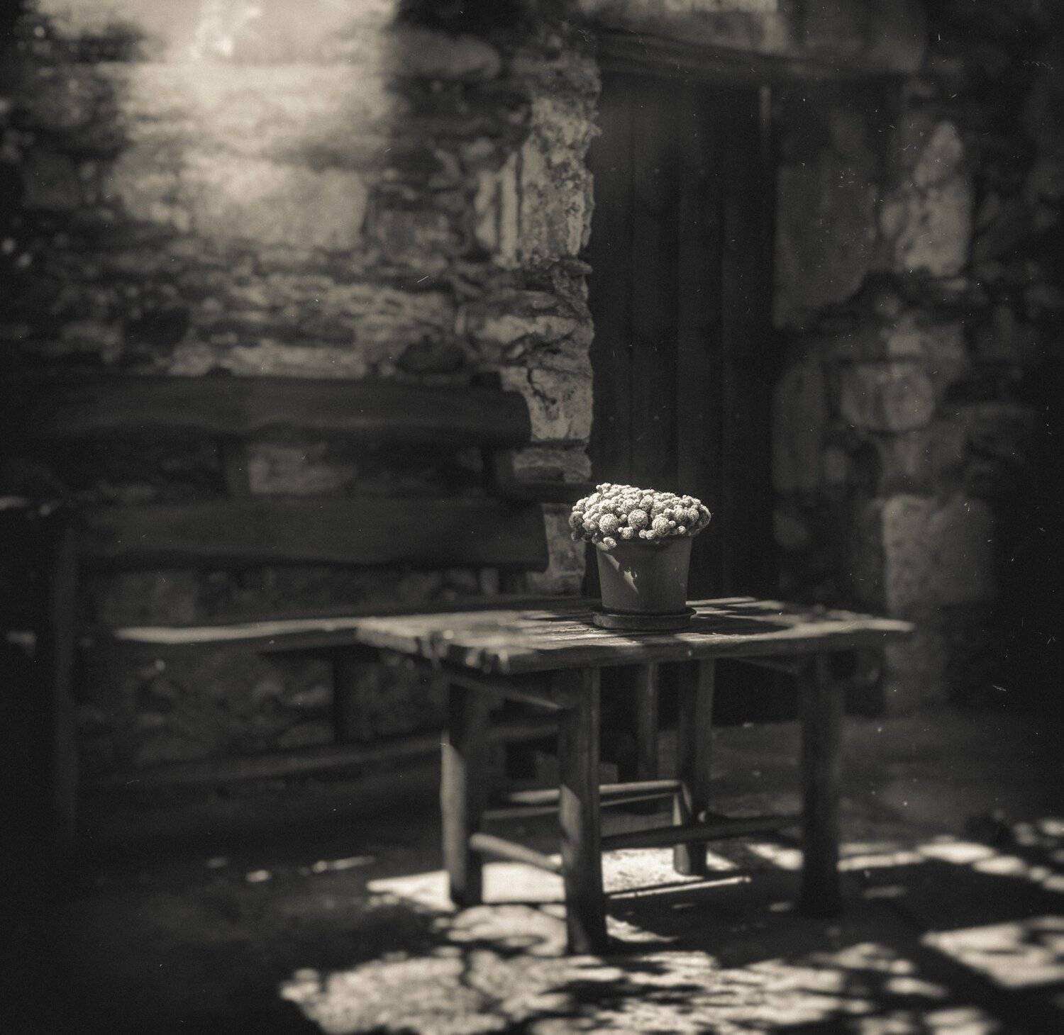 , Artur Politov