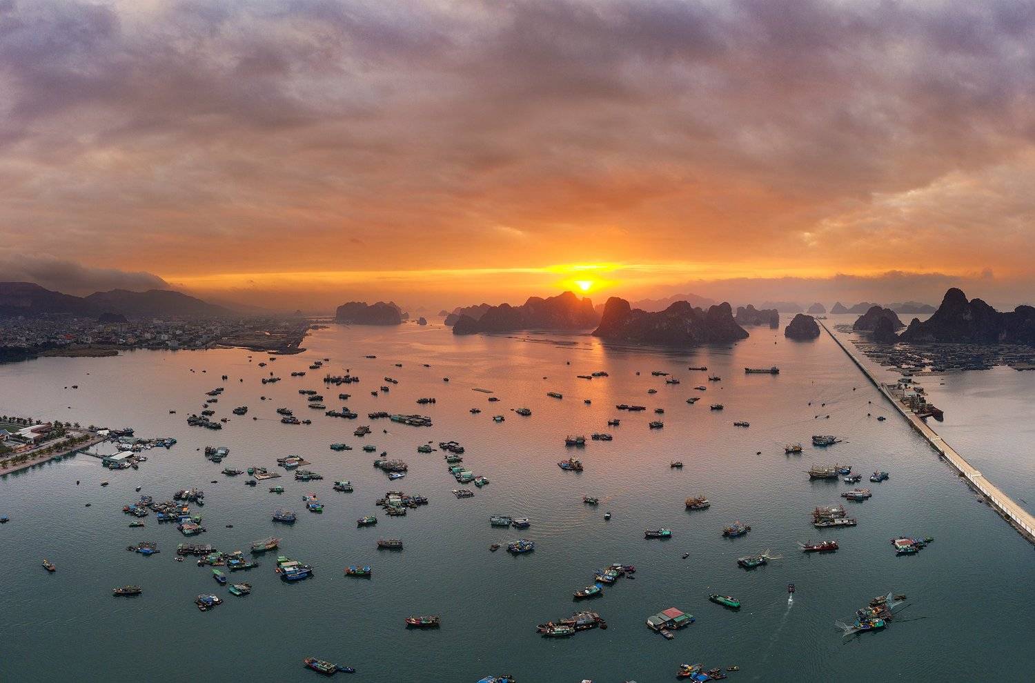 #campha, Viet Linh Tran